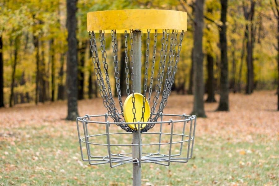 Putter in Disc Golf Basket