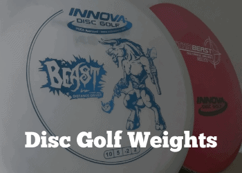 Disc Golf Weight