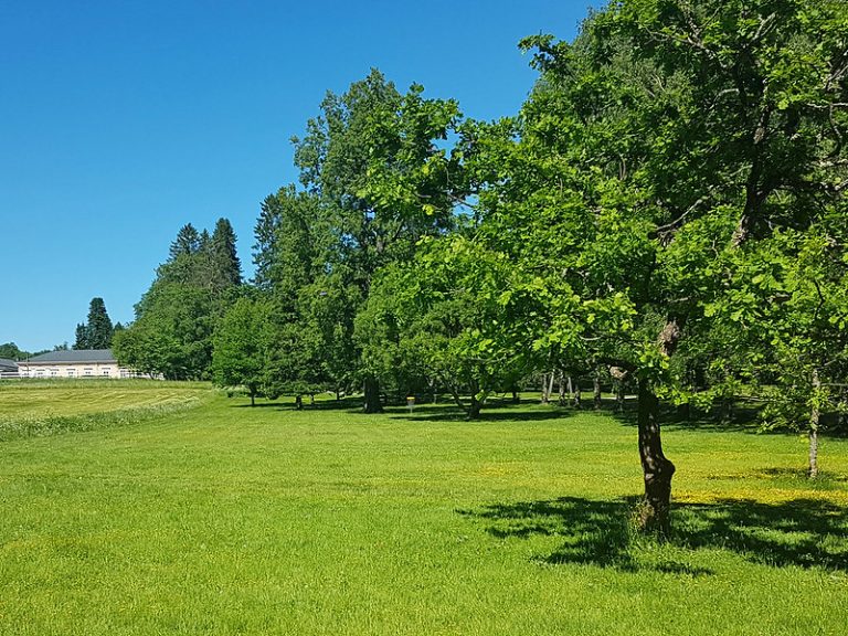 The 5 Best Disc Golf Courses in Maine (with Ratings) Discing Daily