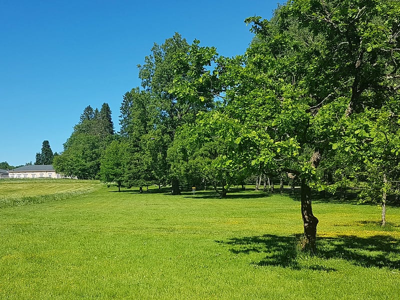 Best disc golf courses in Maine