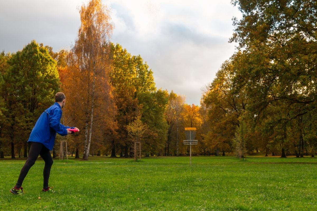 Disc Golf Throws