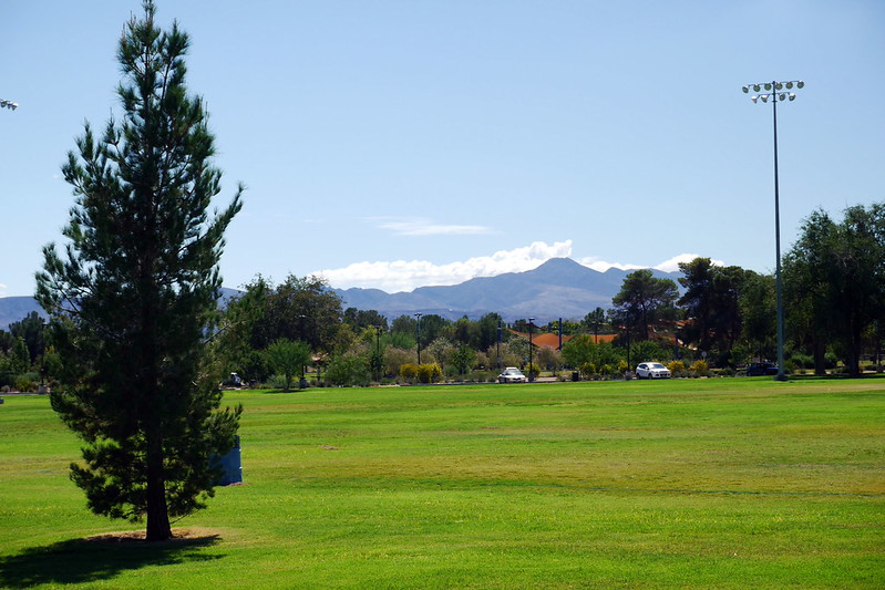 Disc Golf in Las Vegas Park