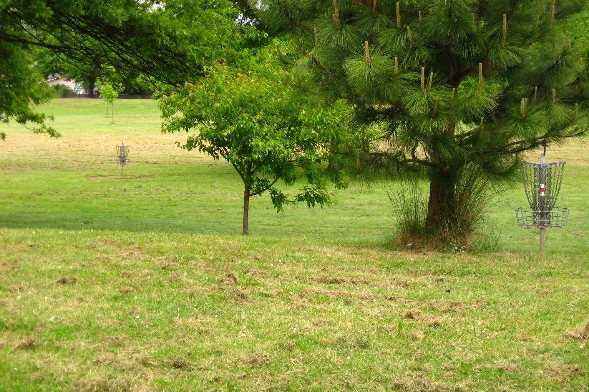 Open Oregon Course