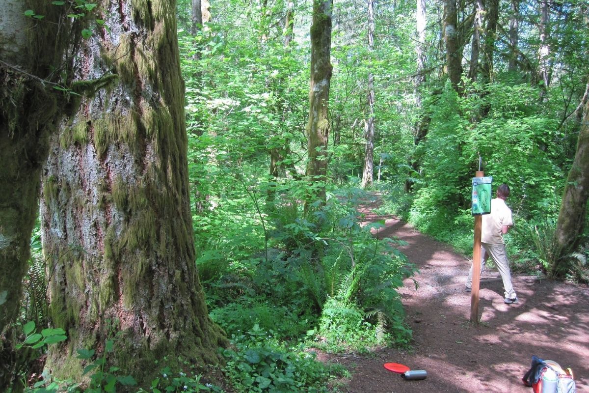 Wooded Oregon Course