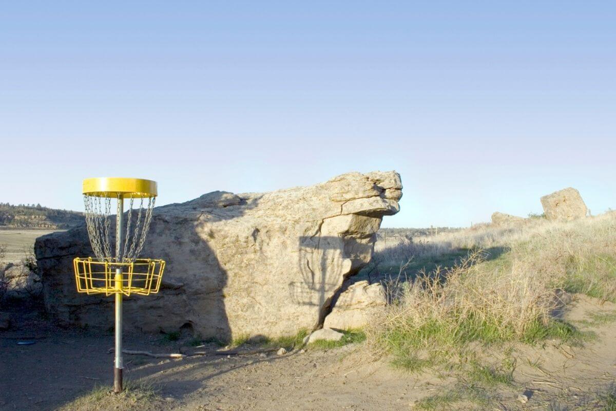 Disc Golf Basket on the Course