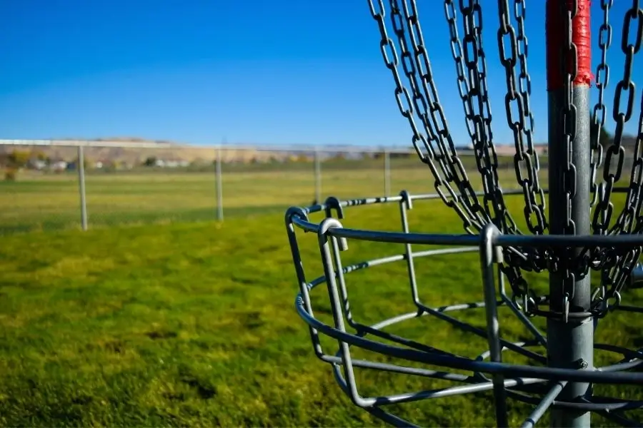 Maximize Your Distance: The Best 12 Speed Disc Golf Discs