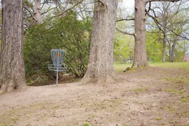Disc golf basket in the woods